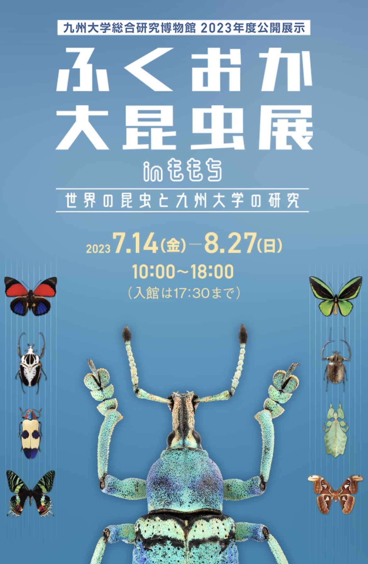 2023年】ふくおか大昆虫展inももち～世界の昆虫と九州大学の研究～開催