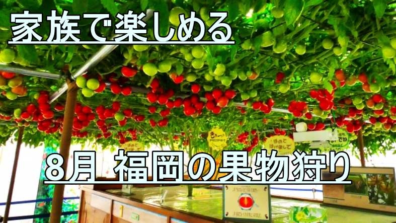 8月 福岡の果物狩り 家族で楽しめるおすすめスポット